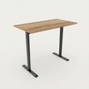 Elektrisch zit-sta bureau Home